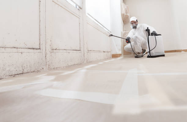 24/7 Emergency Mold Inspection experts in Danville, IL